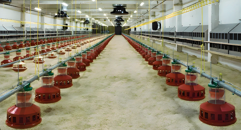 Eleksan Kümes Sistemleri